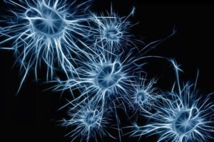 https://cdn.pixabay.com/photo/2016/10/27/10/28/neurons-1773922_960_720.jpg